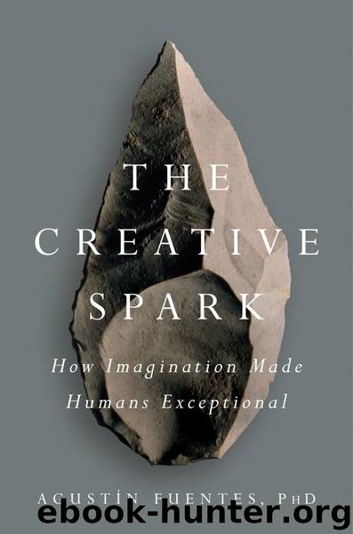 The Creative Spark by Agustín Fuentes