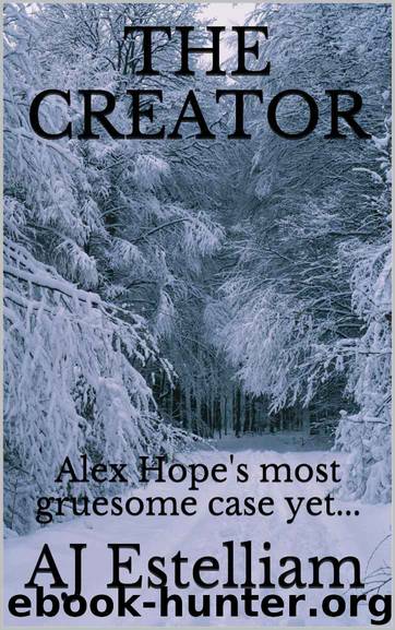 The Creator by AJ Estelliam