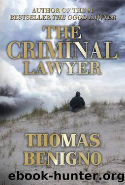 The Criminal Lawyer: (A Good Lawyer Novel) by Thomas Benigno