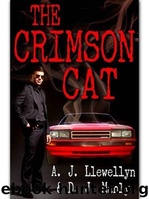 The Crimson Cat by A. J. Llewellyn & D. J. Manly
