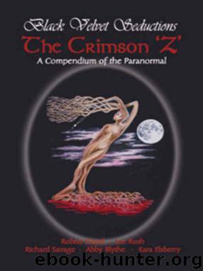 The Crimson Z by Robert Cloud Lee Rush Richard Savage