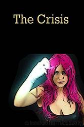 The Crisis by Amanda Lash