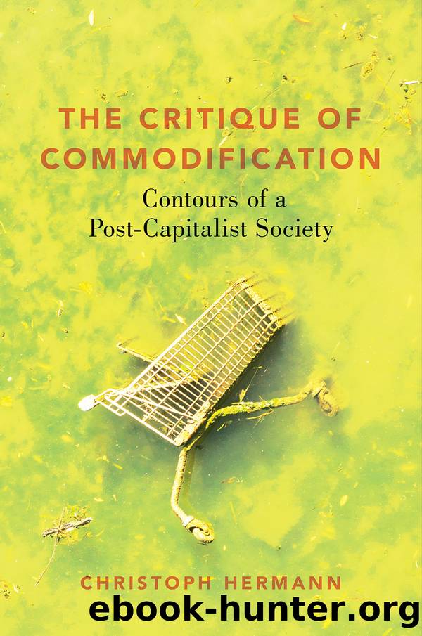 The Critique of Commodification by Christoph Hermann;
