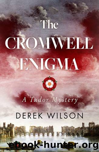 The Cromwell Enigma by Derek Wilson