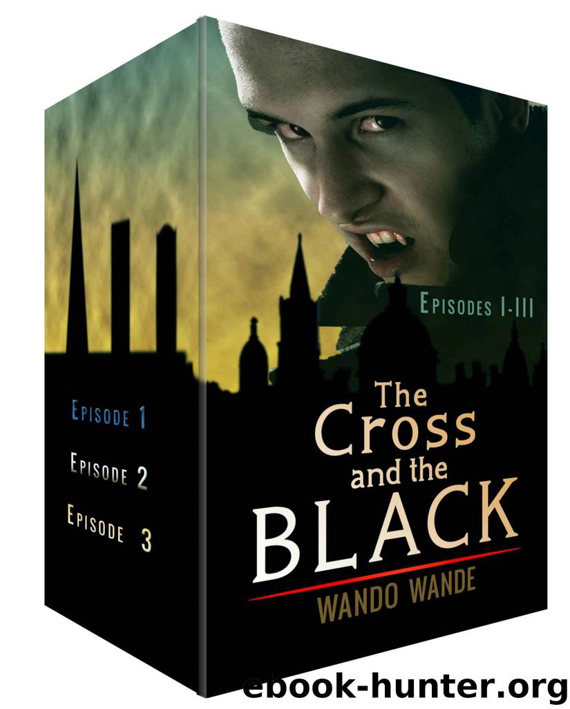The Cross and the Black Box Set by Wando Wande & Luwa Wande