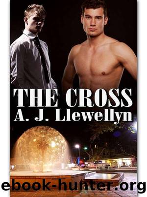 The Cross by A. J. Llewellyn