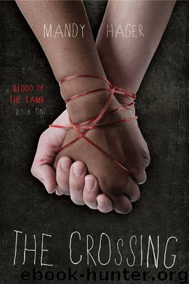 The Crossing by Mandy Hager