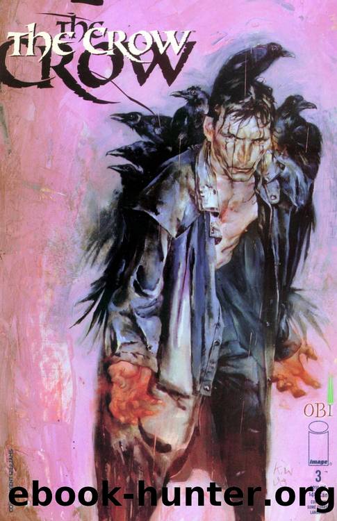 The Crow #3 by Todd McFarlane