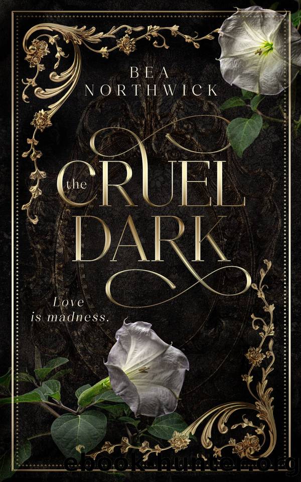 The Cruel Dark by Northwick Bea