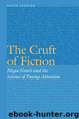 The Cruft of Fiction by Letzler David;
