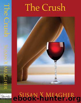 The Crush by Susan X. Meagher