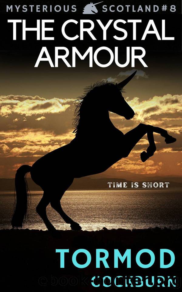 The Crystal Armour by Tormod Cockburn