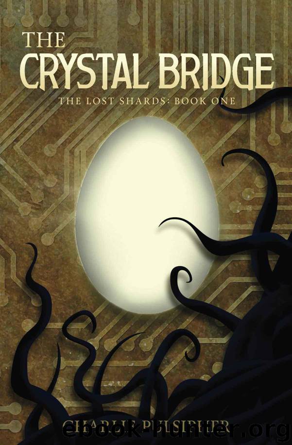 The Crystal Bridge (The Lost Shards Book 1) by Pulsipher Charlie