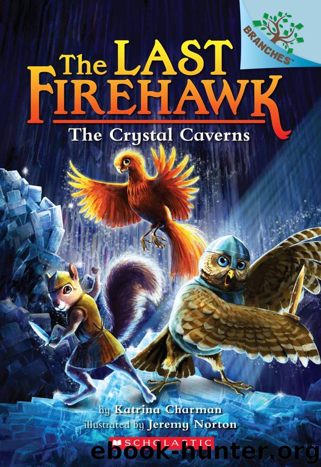 The Crystal Caverns: A Branches Book (The Last Firehawk #2) by Katrina Charman