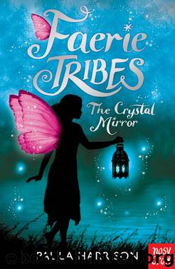 The Crystal Mirror by Paula Harrison