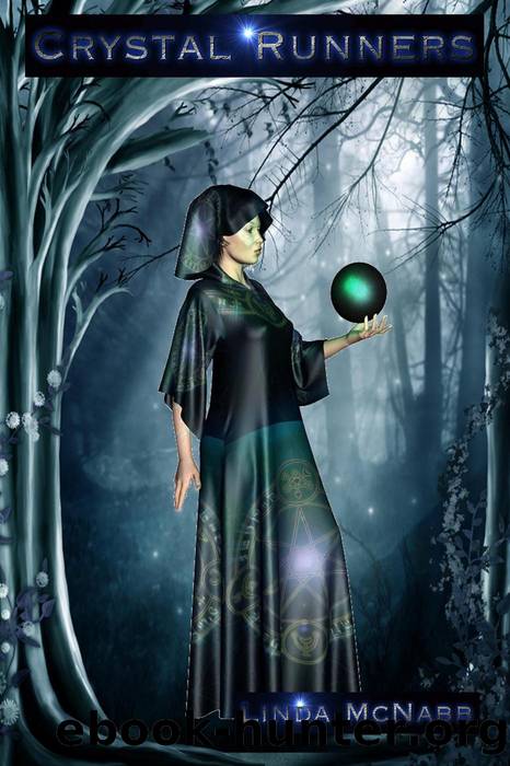 The Crystal Runners by Linda McNabb