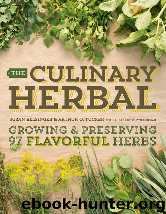 The Culinary Herbal by Susan Belsinger