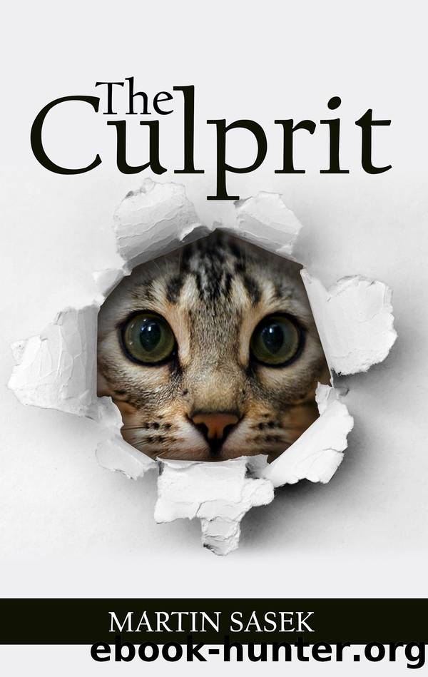 The Culprit by Martin Sasek