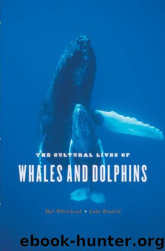 The Cultural Lives of Whales and Dolphins by Hal Whitehead & Luke Rendell