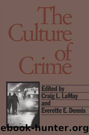 The Culture of Crime by Boaz Ganor