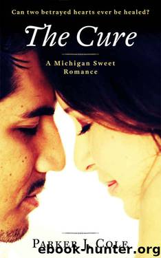 The Cure (A Michigan Sweet Romance #1) by Parker J. Cole