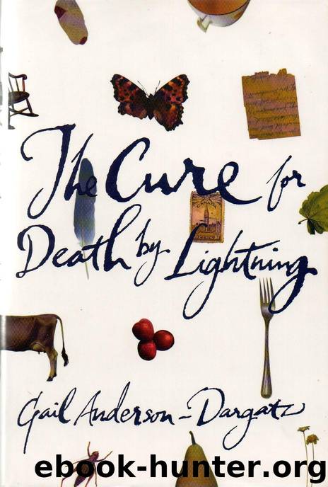 The Cure for Death by Lightning