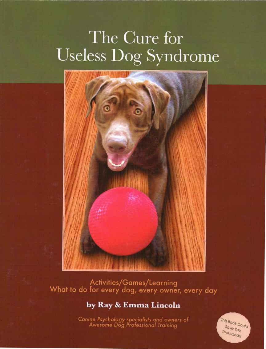 The Cure for Useless Dog Syndrome: Activities/Games/Learning, What to do for every dog, every owner,every day by Awesome Dog & Awesome Dog Professional Training & Ray Lincoln & Emma Lincoln