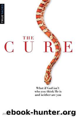 The Cure: What If God Isn't Who You Think He Is And Neither Are You by Lynch John & McNicol Bruce & Thrall Bill