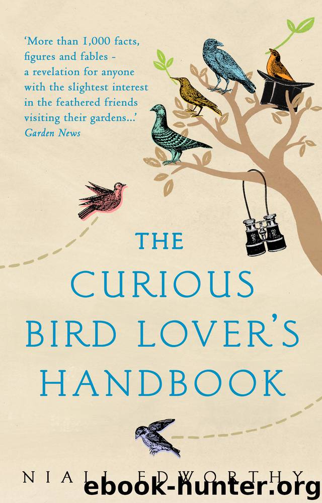 The Curious Bird Lover's Handbook by Niall Edworthy