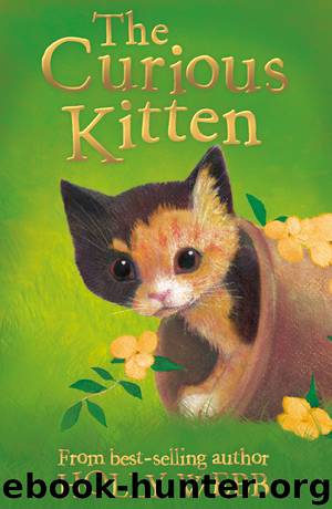 The Curious Kitten by Holly Webb