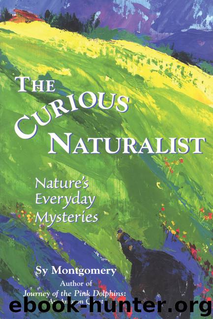 The Curious Naturalist by Sy Montgomery