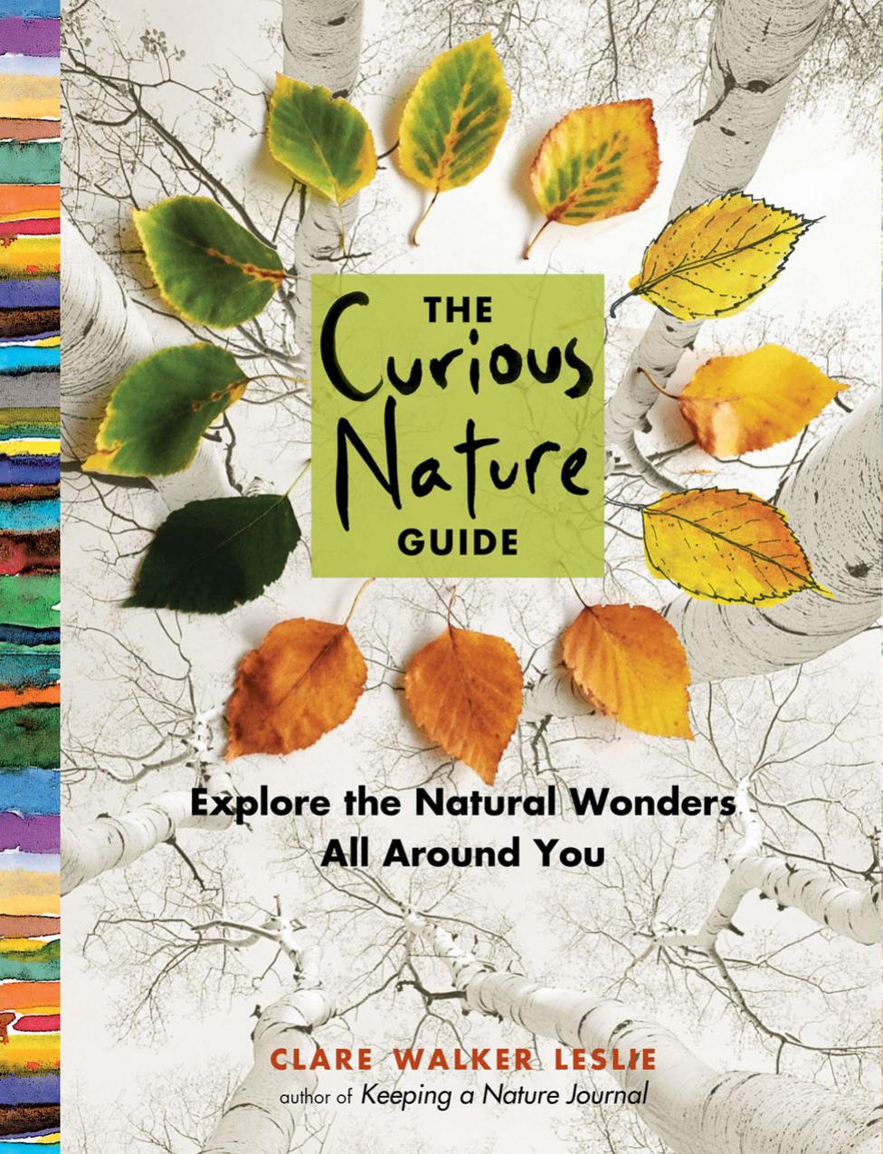 The Curious Nature Guide by Clare Walker Leslie