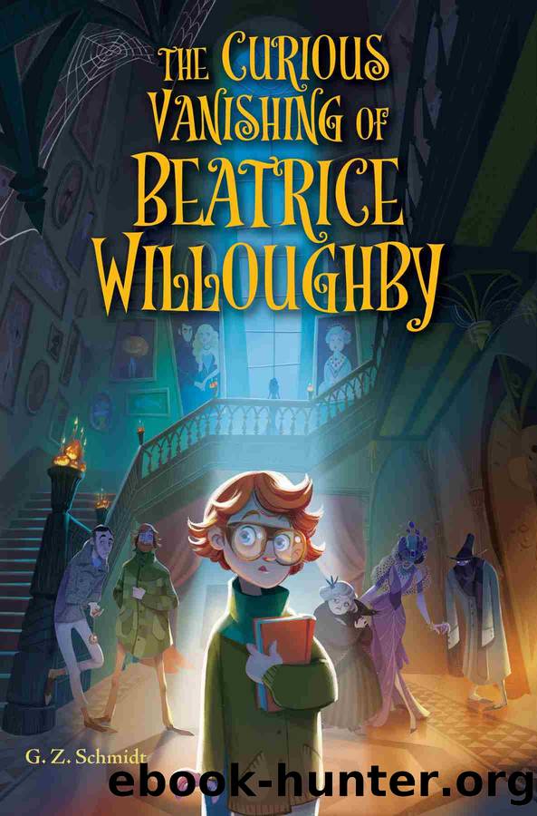 The Curious Vanishing of Beatrice Willoughby by G. Z. Schmidt