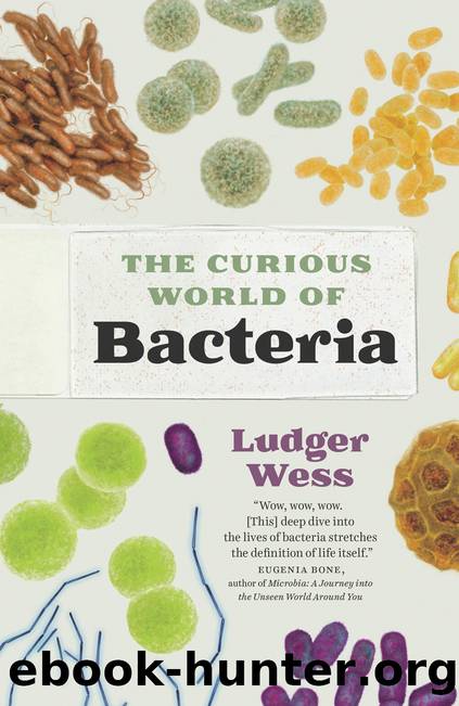 The Curious World of Bacteria by Ludger Wess