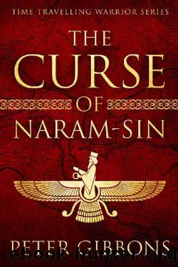 The Curse of Naram-Sin by Peter Gibbons