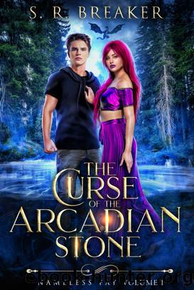 The Curse of the Arcadian Stone by S. R. Breaker