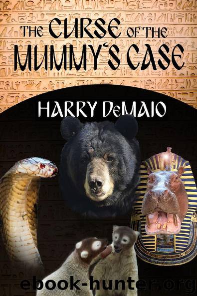 The Curse of the Mummy's Case by Harry DeMaio