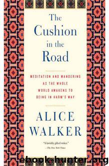 The Cushion in the Road by Alice Walker