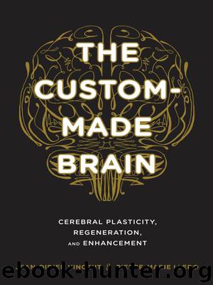 The Custom-Made Brain by Garey Laurence Lledo Pierre-Marie Vincent Jean-Didier