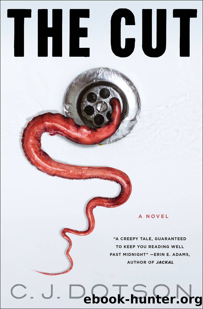 The Cut by C. J. Dotson