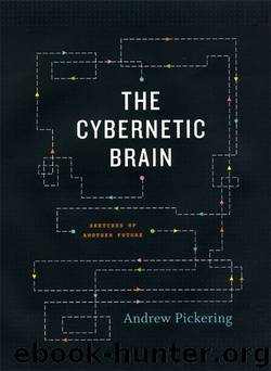 The Cybernetic Brain: Sketches of Another Future by Pickering Andrew