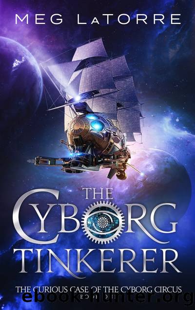 The Cyborg Tinkerer by Meg Latorre