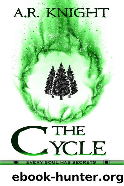 The Cycle by A R Knight