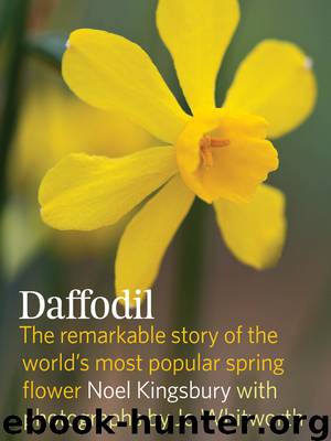 The Daffodil by Noel Kingsbury