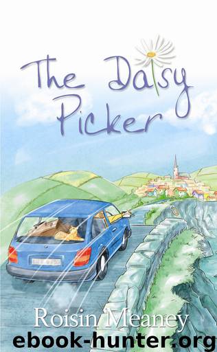 The Daisy Picker by Roisin Meaney