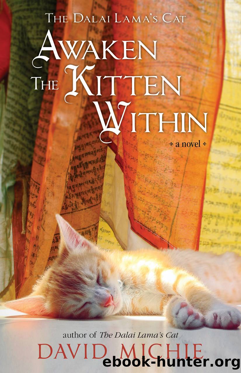 The Dalai Lama's Cat Awaken the Kitten Within by David Michie