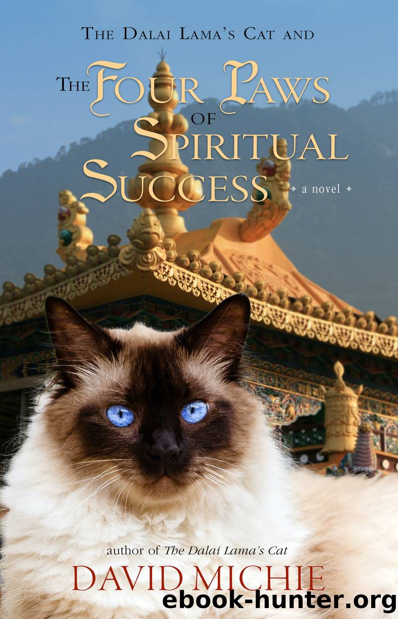 The Dalai Lama's Cat and the Four Paws of Spiritual Success by David Michie