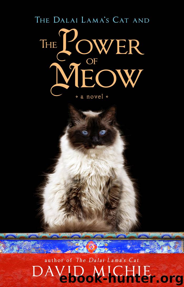 The Dalai Lama's Cat and the Power of Meow by David Michie