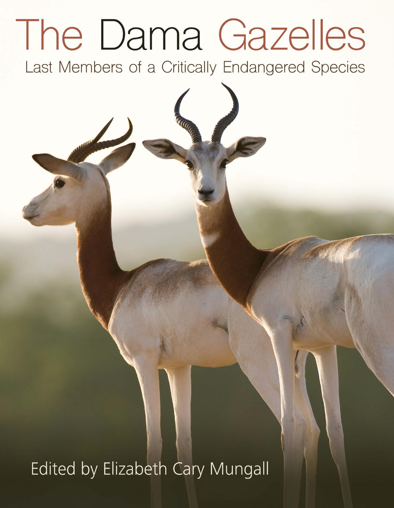 The Dama Gazelles: Last Members of a Critically Endangered Species by Unknow