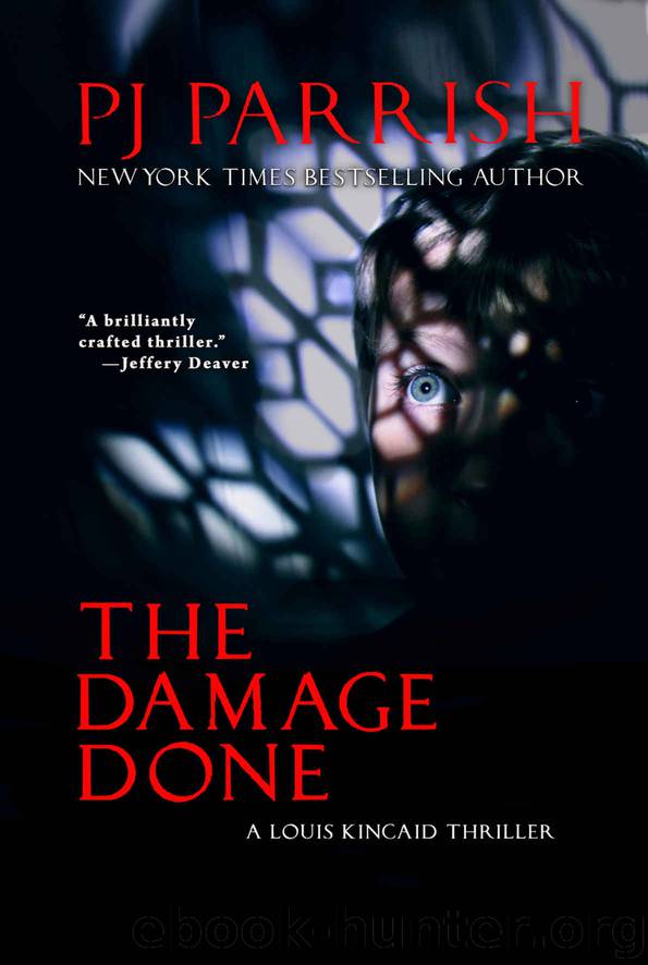 The Damage Done by P J Parrish